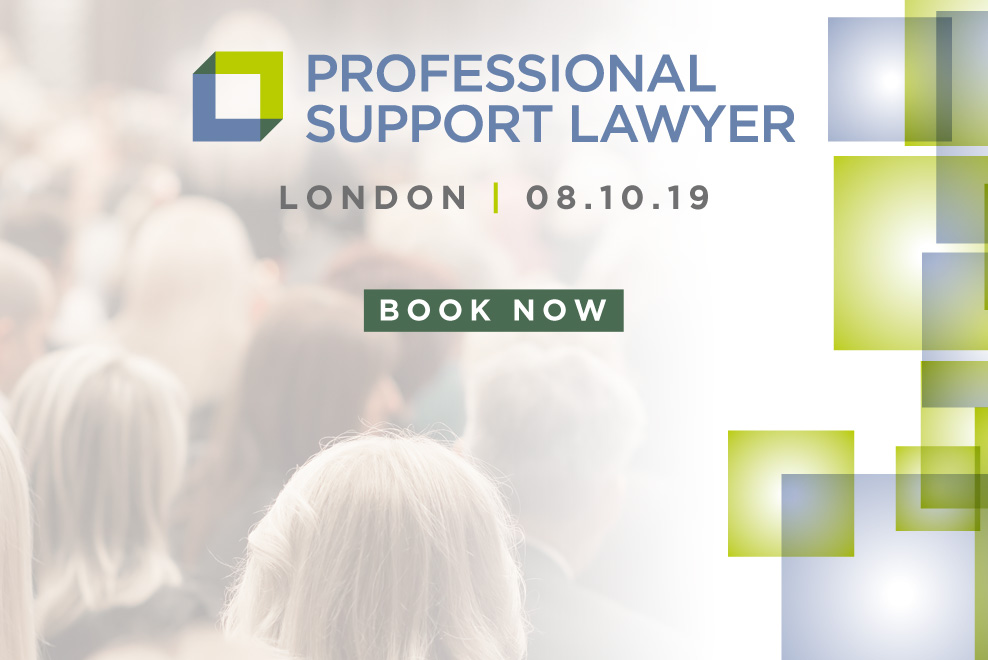 Image for Professional Support Lawyer